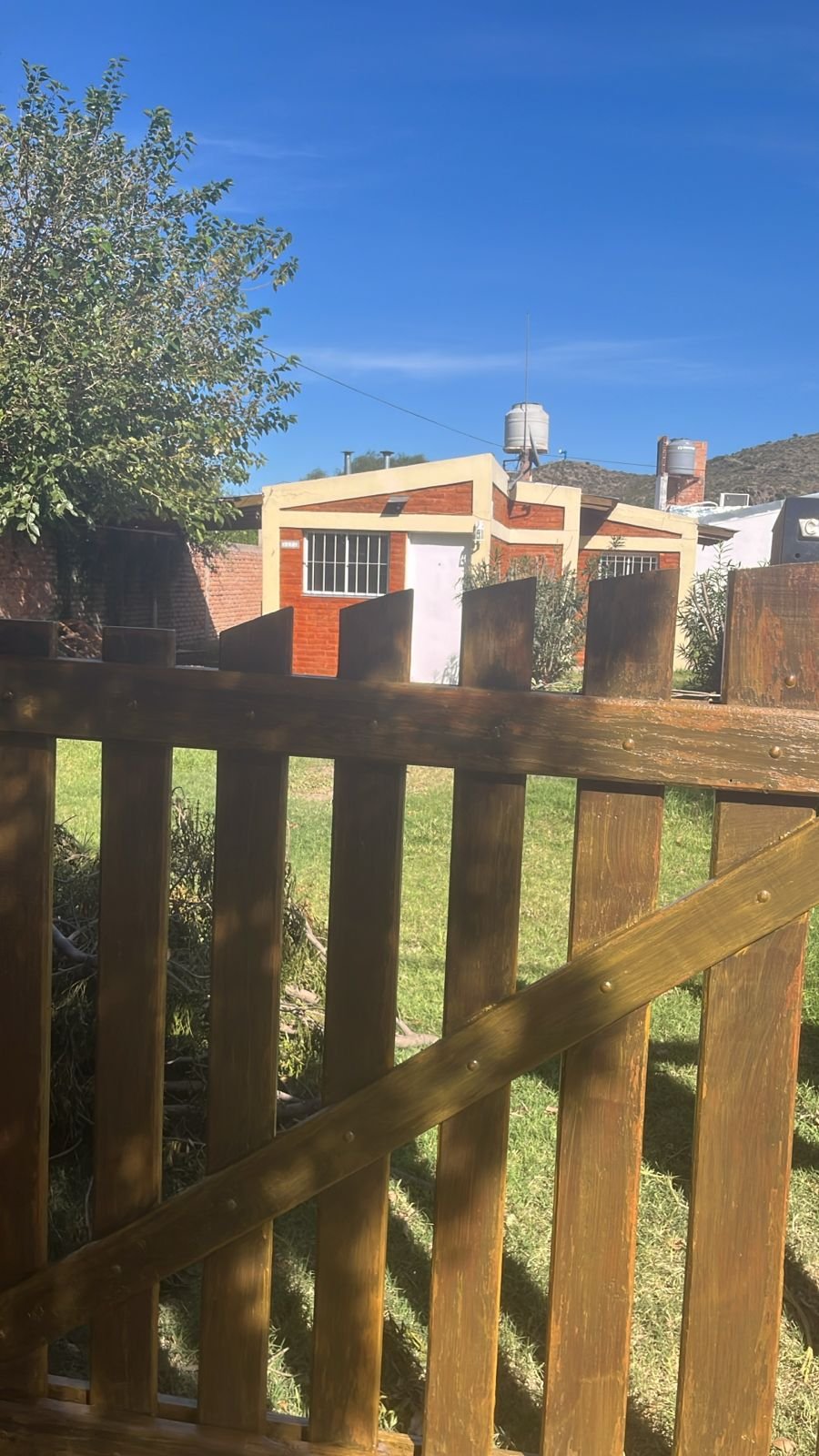 WhatsApp Image 2026-03-31 at 1.14.24 PM